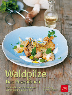 Waldpilze Das Rezeptbuch von Grünert,  Helmut, Grünert,  Renate