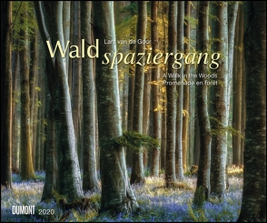 Waldspaziergang 2020 – Fotokunst-Kalender – Querformat 58,4 x 48,5 cm – Spiralbindung von de Goor,  Lars van, DUMONT Kalenderverlag