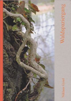 Waldspaziergang von Gysel,  Niklaus