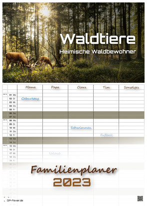 Waldtiere – Heimische Waldbewohner – Der Tierkalender – 2023 – Kalender DIN A3 – (Familienplaner) von GP-Fever.de