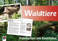 Waldtiere von Jung,  Heike