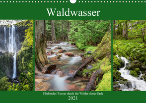 Waldwasser (Wandkalender 2021 DIN A3 quer) von Klinder,  Thomas