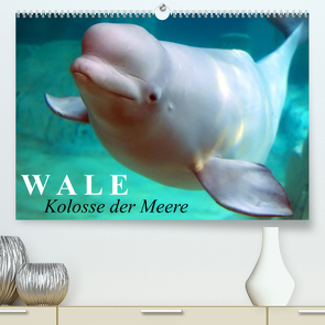 Wale – Kolosse der Meere (Premium, hochwertiger DIN A2 Wandkalender 2023, Kunstdruck in Hochglanz) von Stanzer,  Elisabeth