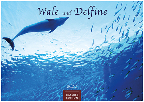 Wale und Delfine 2022 L 35x50cm