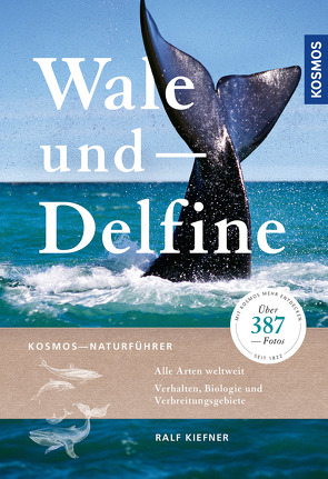 Wale und Delfine von Kiefner,  Ralf