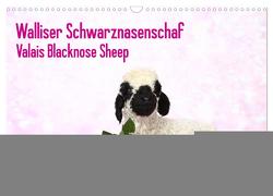 Walliser Schwarznasenschaf Valais Blacknose Sheep (Wandkalender 2024 DIN A3 quer), CALVENDO Monatskalender von Hutfluss,  Jeanette