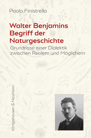 Walter Benjamins Begriff der Naturgeschichte von Finistrella,  Paolo