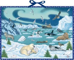 Wand-Adventskalender – Tiere der Arktis von Mueller,  Thomas