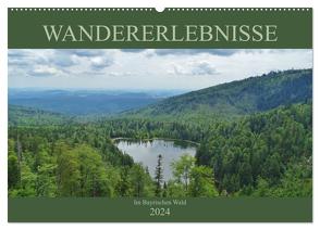 Wandererlebnisse im Bayrischen Wald (Wandkalender 2024 DIN A2 quer), CALVENDO Monatskalender von Janke,  Andrea