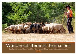 Wanderschäferei ist Teamarbeit (Wandkalender 2024 DIN A2 quer), CALVENDO Monatskalender von Sixt,  Marion