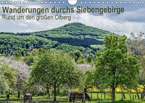 Wanderwege durchs Siebengebirge – Rund um den großen Ölberg (Wandkalender 2019 DIN A4 quer) von Leonhardy,  Thomas