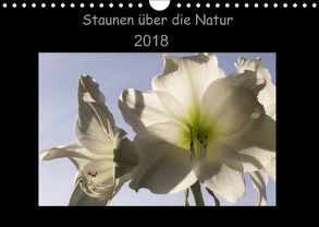 Wandkalender 2018 Din A4 quer (Wandkalender 2018 DIN A4 quer) von N.,  N.