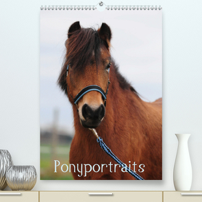 Wandkalender Ponyportraits (Premium, hochwertiger DIN A2 Wandkalender 2021, Kunstdruck in Hochglanz) von Lügger,  Gabriele