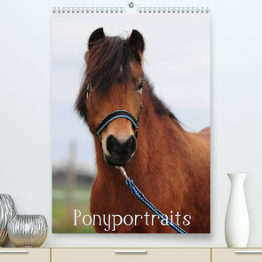 Wandkalender Ponyportraits (Premium, hochwertiger DIN A2 Wandkalender 2022, Kunstdruck in Hochglanz) von Lügger,  Gabriele