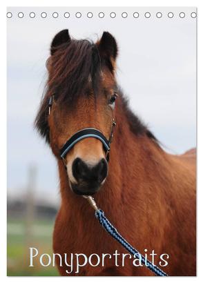 Wandkalender Ponyportraits (Tischkalender 2024 DIN A5 hoch), CALVENDO Monatskalender von Lügger,  Gabriele