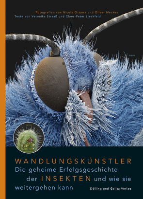 Wandlungskünstler. Die geheime Erfolgsgeschichte der Insekten und wie sie weitergehen kann von Lieckfeld,  Claus-Peter, Meckes,  Oliver, Ottawa,  Nicole, Straaß,  Veronika