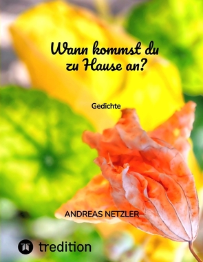 Wann kommst du zu Hause an? von Netzler,  Andreas