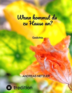 Wann kommst du zu Hause an? von Netzler,  Andreas