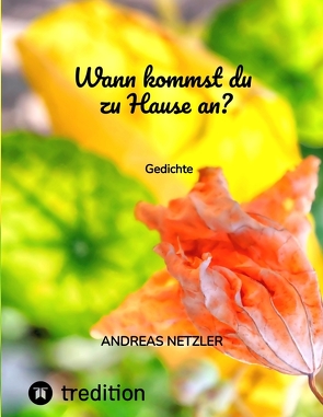 Wann kommst du zu Hause an? von Netzler,  Andreas