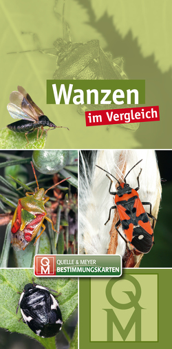 Wanzen im Vergleich von Quelle & Meyer Verlag