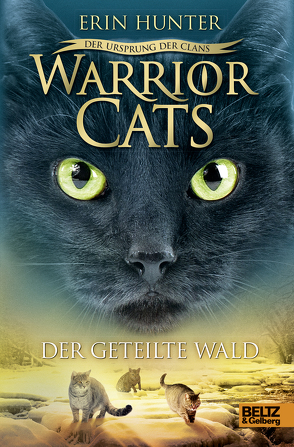 Warrior Cats – Der Ursprung der Clans. Der geteilte Wald von Hunter,  Erin, Knese,  Petra