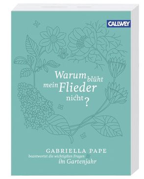 Warum blüht mein Flieder nicht? von Pape,  Gabriella