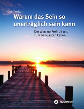 Warum das Sein so unerträglich sein kann von Trevisan,  Uwe