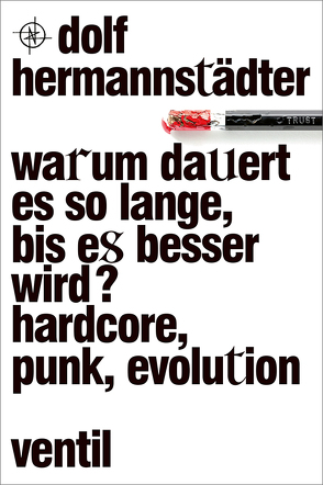 Warum dauert es so lange, bis es besser wird? von Hermannstädter,  Dolf