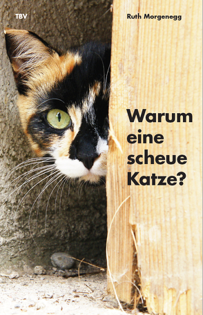 Warum eine scheue Katze? von Morgenegg,  Ruth