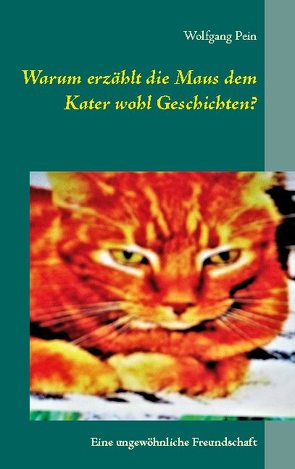 Warum erzählt die Maus dem Kater wohl Geschichten? von Pein,  Wolfgang