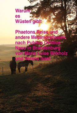 Warum es Wüsten gibt von Birkholz,  Marie Luise, Issel,  Verena, Steinegger,  Christoph