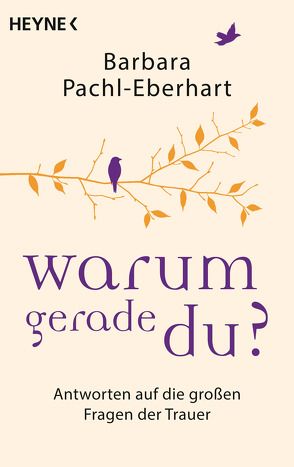 Warum gerade du? von Pachl-Eberhart,  Barbara