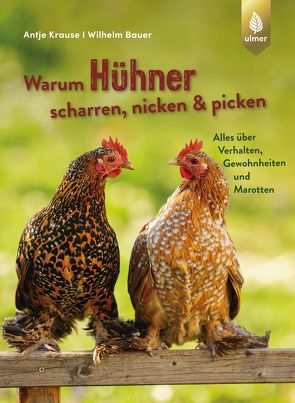 Warum Hühner scharren, nicken und picken von Bauer,  Wilhelm, Krause,  Antje