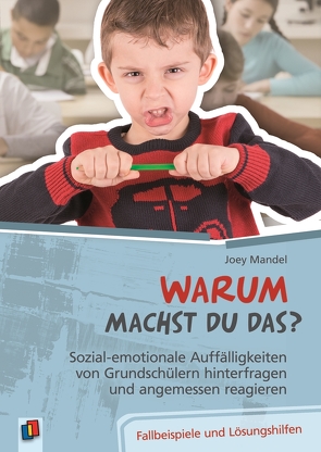 Warum machst du das? Sozial-emotionale Auffälligkeiten von Grundschülern hinterfragen und angemessen reagieren von Erich,  Regina, Mandel,  Joey