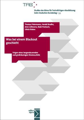 Was bei einem Blackout geschieht von Bradke,  Harald, Lüllmann,  Arne, Petermann,  Thomas, Poetzsch,  Maik, Riehm,  Ulrich