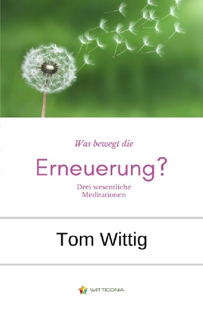 Was bewegt die Erneuerung? von Wittig,  Thomas