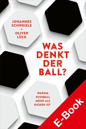 Was denkt der Ball? von Lück,  Oliver, Schweikle,  Johannes