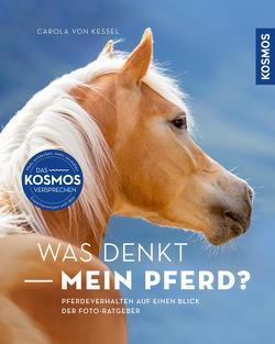 Was denkt mein Pferd? von Kessel,  Carola von