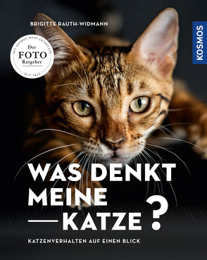 Was denkt meine Katze von Rauth-Widmann,  Brigitte