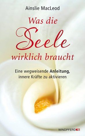 Was die Seele wirklich braucht von MacLeod,  Ainslie, Rometsch,  Martin