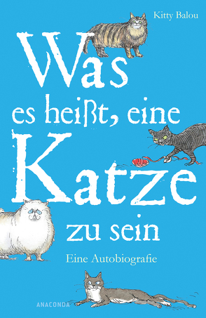 Was es heißt, eine Katze zu sein von Balou,  Kitty