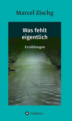 Was fehlt eigentlich von Dallmann,  Jonas-Philipp, Siegel,  Moritz, Zischg,  Marcel