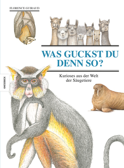 Was guckst du denn so? von Guiraud,  Florence, Schmidt-Wussow,  Susanne