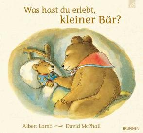 Was hast du erlebt, kleiner Bär? von Fröse-Schreer,  Irmtraut, Lamb,  Albert, McPhail,  David