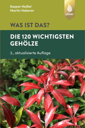 Was ist das? Die 120 wichtigsten Gehölze von Haberer,  Martin, Heißel,  Kaspar