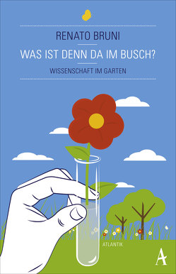 Was ist denn da im Busch? von Bruni,  Renato, Damin,  Alessandro, von Vacano,  Johannes