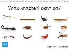 Was krabbelt denn da? (Tischkalender 2018 DIN A5 quer) von Eppele,  Klaus