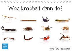 Was krabbelt denn da? (Tischkalender 2019 DIN A5 quer) von Eppele,  Klaus