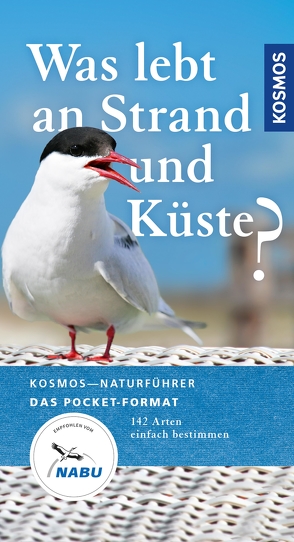 Was lebt an Strand und Küste? von Wilhelmsen,  Ute