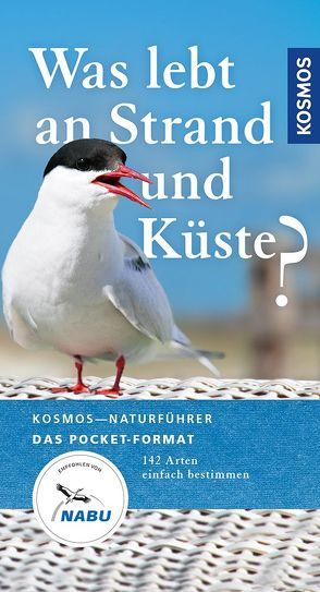 Was lebt an Strand und Küste? von Wilhelmsen,  Ute